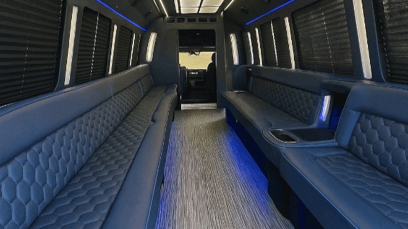 28 passenger party bus interior